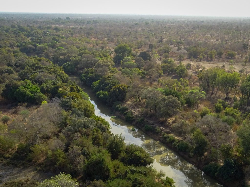 Parque Nacional W, Níger