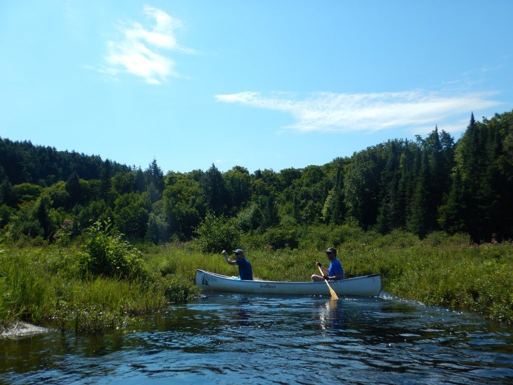 Lago rodeado de bosque y canoas en el Parque Algonquin, Ontario