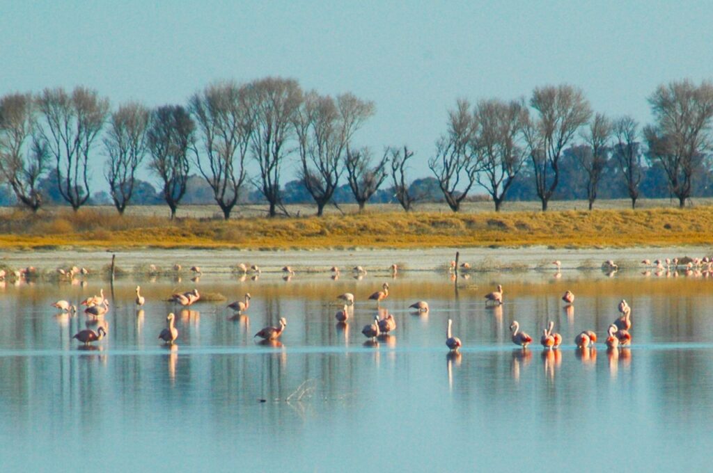 Laguna El Hinojo, los mejores lugares para visitar en Santa Fe