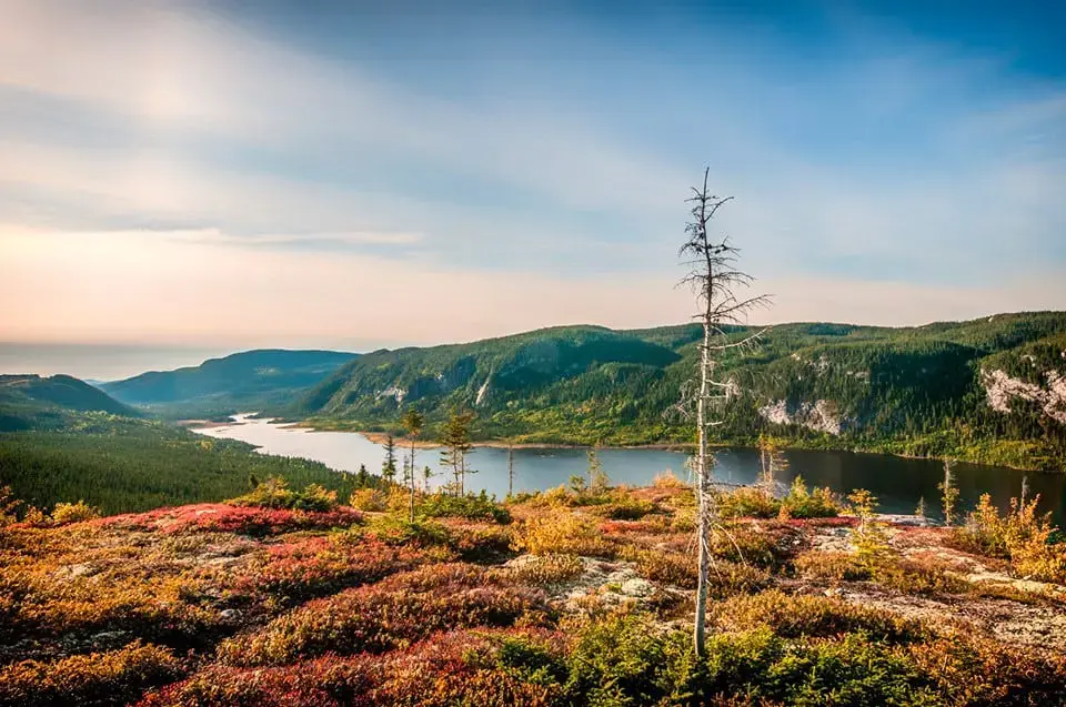 Vistas desde un mirador en Charlevoix con el río San Lorenzo al fondo y vegetación montañosa, Quebec, Canadá