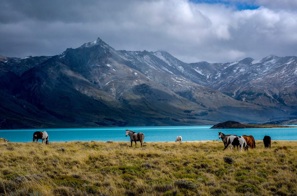 Parque Nacional Perito Moreno, qué hacer en Santa Cruz