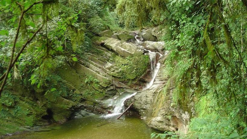 Parque Sierra de San Javier, qué hacer en Tucumán