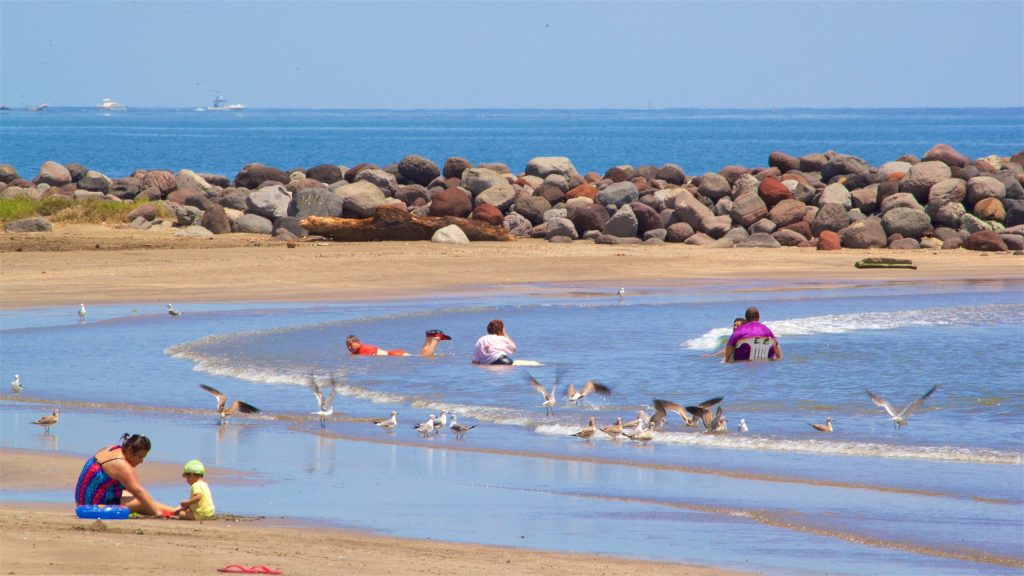 Vista panorámica de Playa Mocambo con arena dorada y mar calmo. Qué hacer en Veracruz