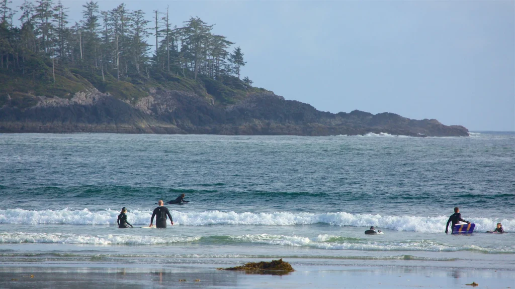 Olas rompiendo en la playa de Tofino con surfistas en acción
