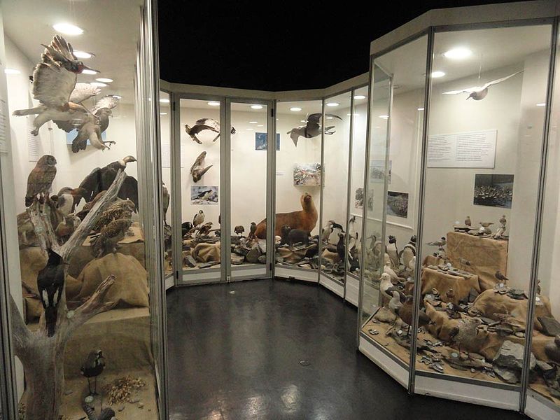 Museo del Fin del Mundo, Qué hacer en Tierra del Fuego