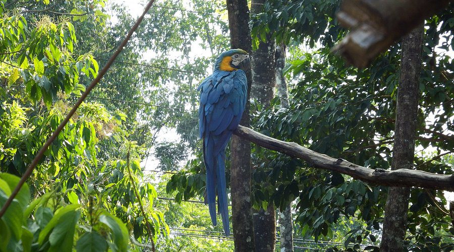 Parque Ecoturístico Machía, Qué hacer en Cochabmba