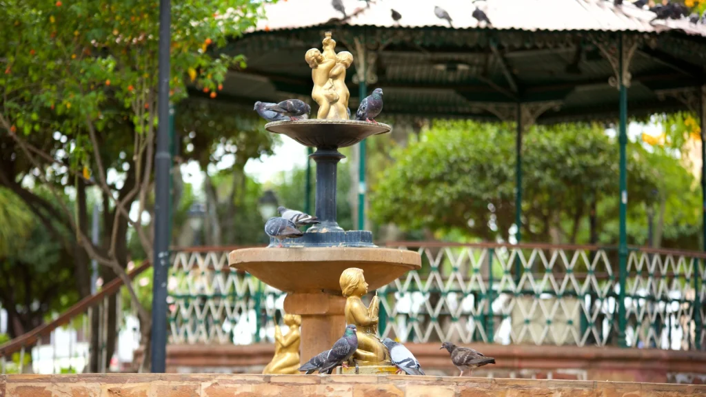 Plaza 25 de Mayo, Qué hacer en Sucre