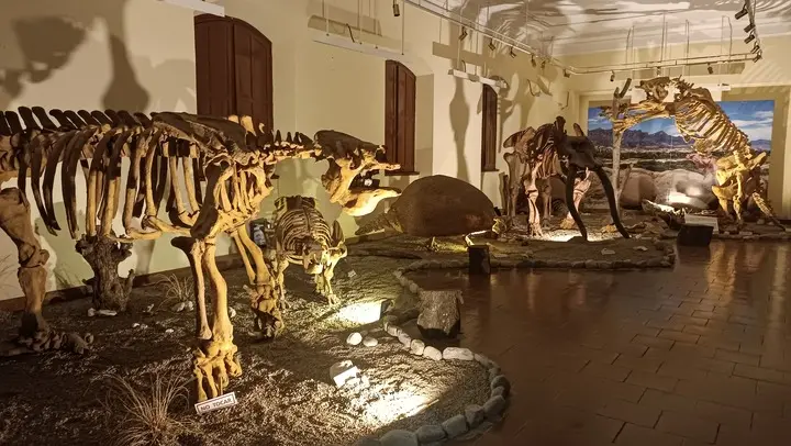 Museo Paleontológico y Arqueológico de Tarija