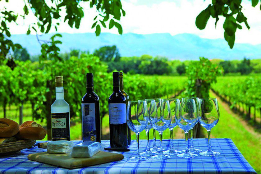Ruta del vino y singani de altura