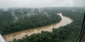 Vista aérea de la selva amazónica y el río Acre en Pando, Bolivia, destino de ecoturismo.