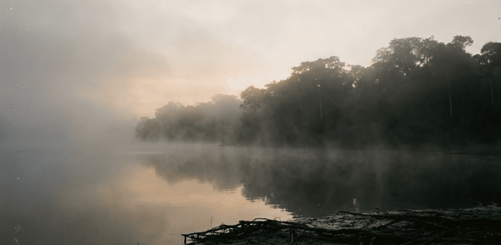 Fotografí del amanecer con bruma sobre el Lago Bay en la Reserva Nacional Manuripi, Pando, Bolivia, mostrando la naturaleza virgen de la Amazonía.